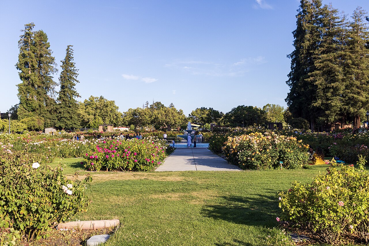 Municipal Rose Garden — Park & playground